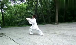 太极拳教学视频