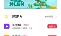 视频app排行,热门APP风云变幻