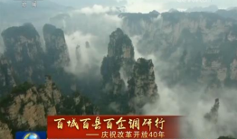 张家界吃瓜爆料新闻视频,揭秘当地美食背后的故事